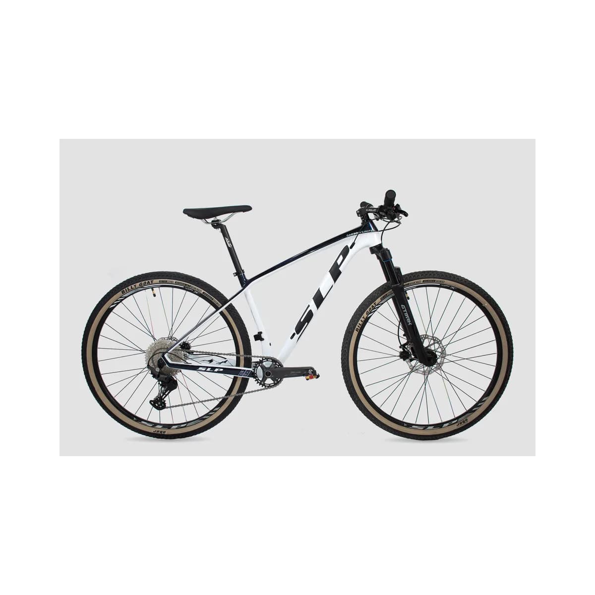 SLP MTB Carbon Limited R29