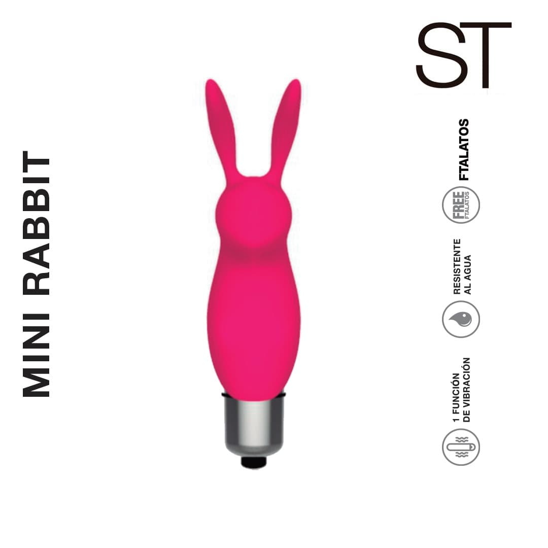 Mini rabbit